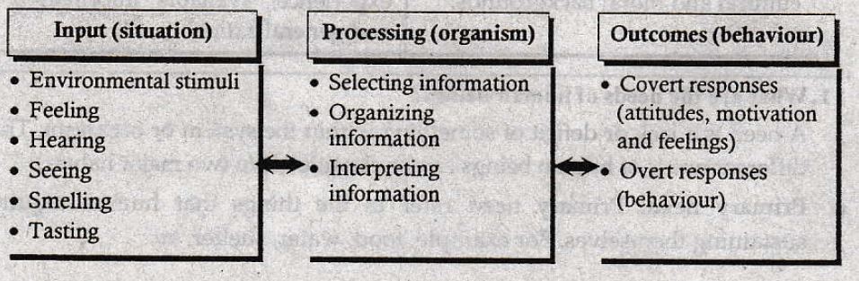 Sketch the figure of “behavior as an input-output system”. - Bench Partner