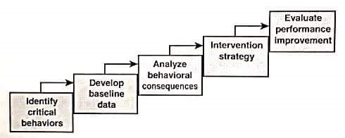 Behavior Modification - Bench Partner